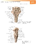 Sobotta Atlas of Human Anatomy  Head,Neck,Upper Limb Volume1 2006, page 306